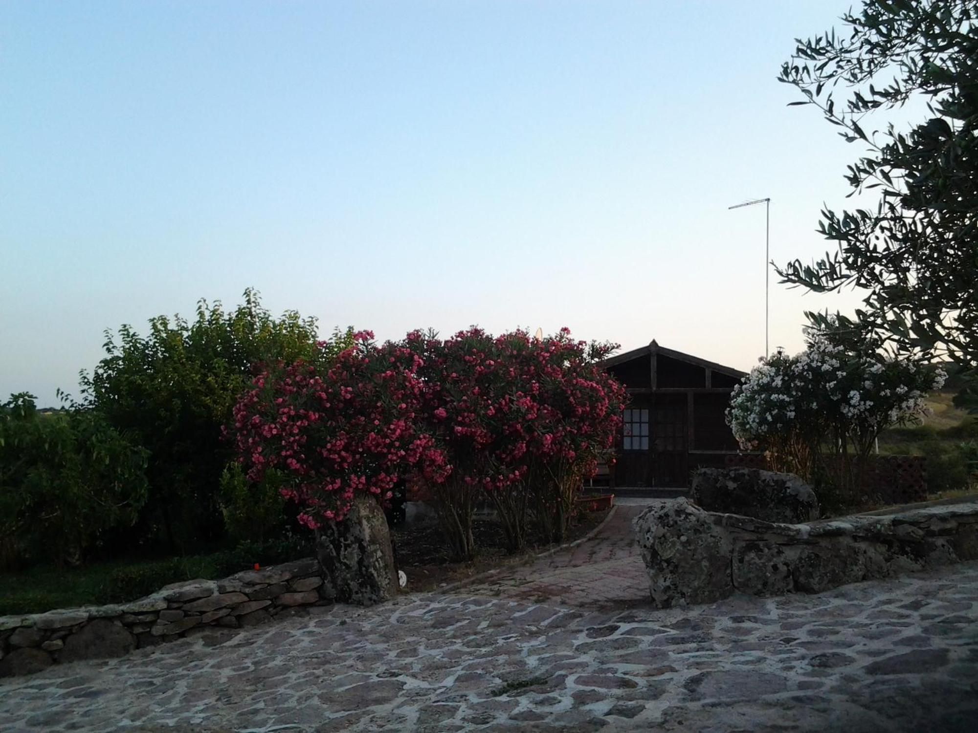 Su Recreu Farm stay