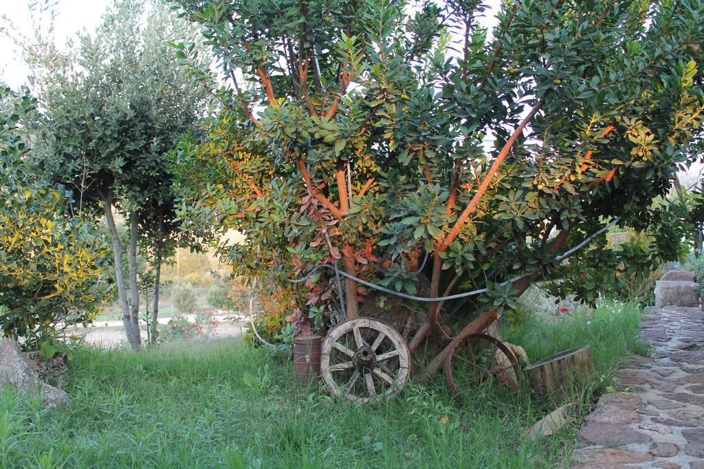 Su Recreu Farm stay *