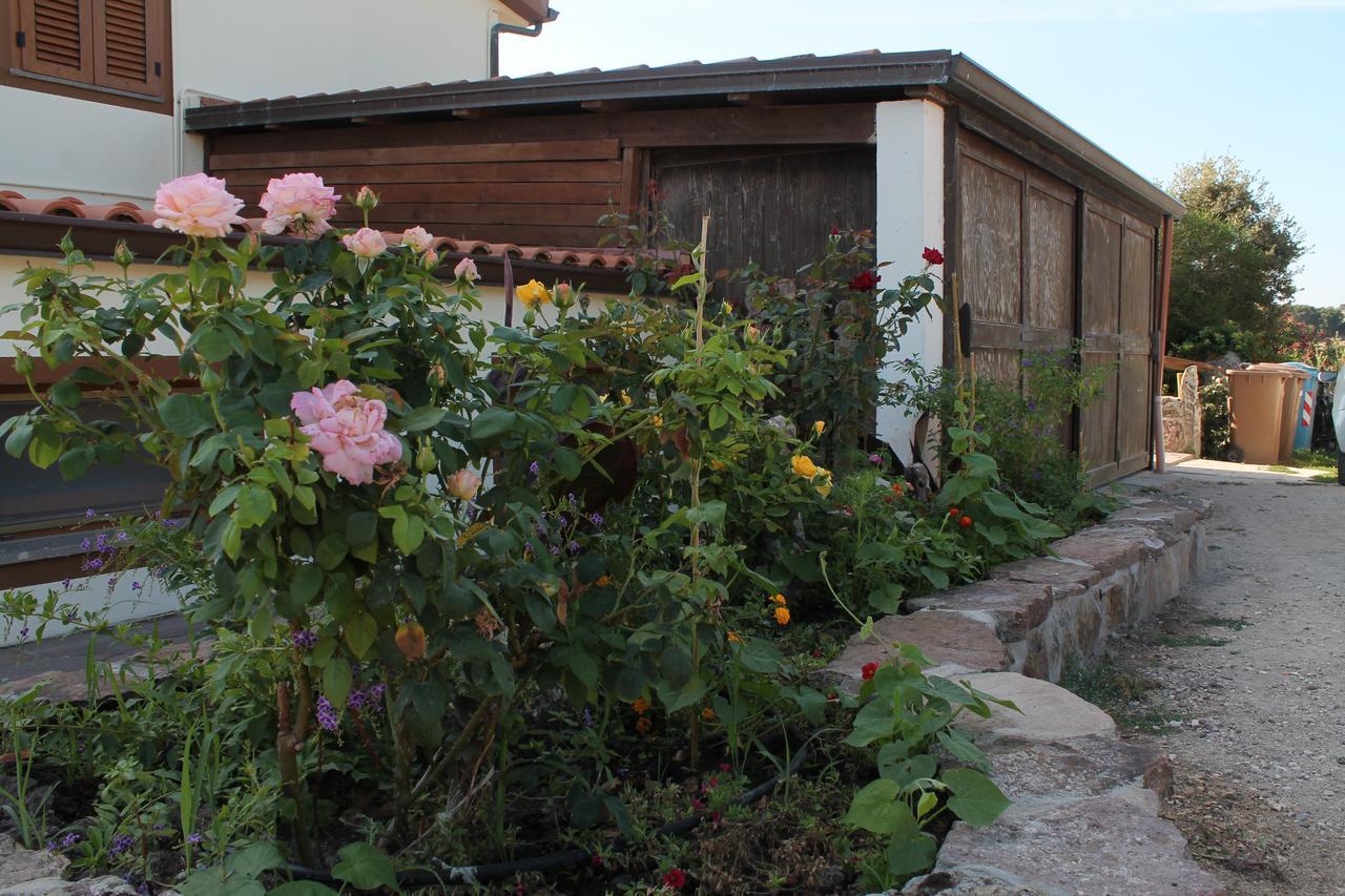 Farm stay Su Recreu Ittiri