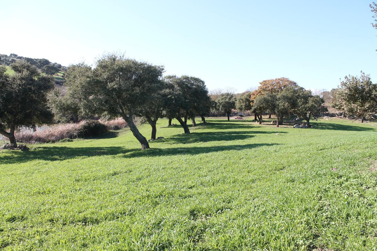 Su Recreu Farm stay Ittiri